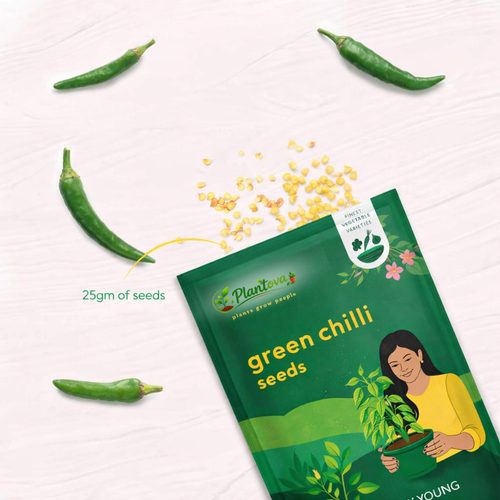 Green Chilli Seeds