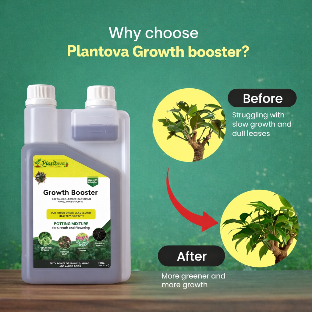 Plantova Growth booster - Organic Plant Growth Booster for Healthy Roots & Yields