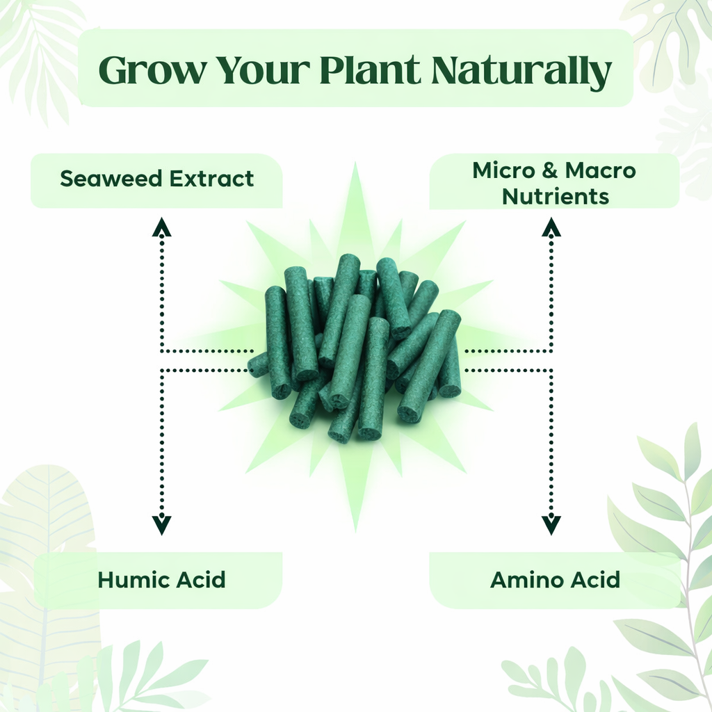 Plantova Plant 40 Food Sticks - Organic Indoor Plant Nutrition