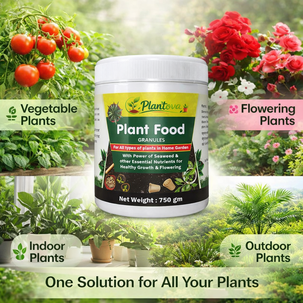 Plant Food Granules - Balanced Nutrient for Plant Growth