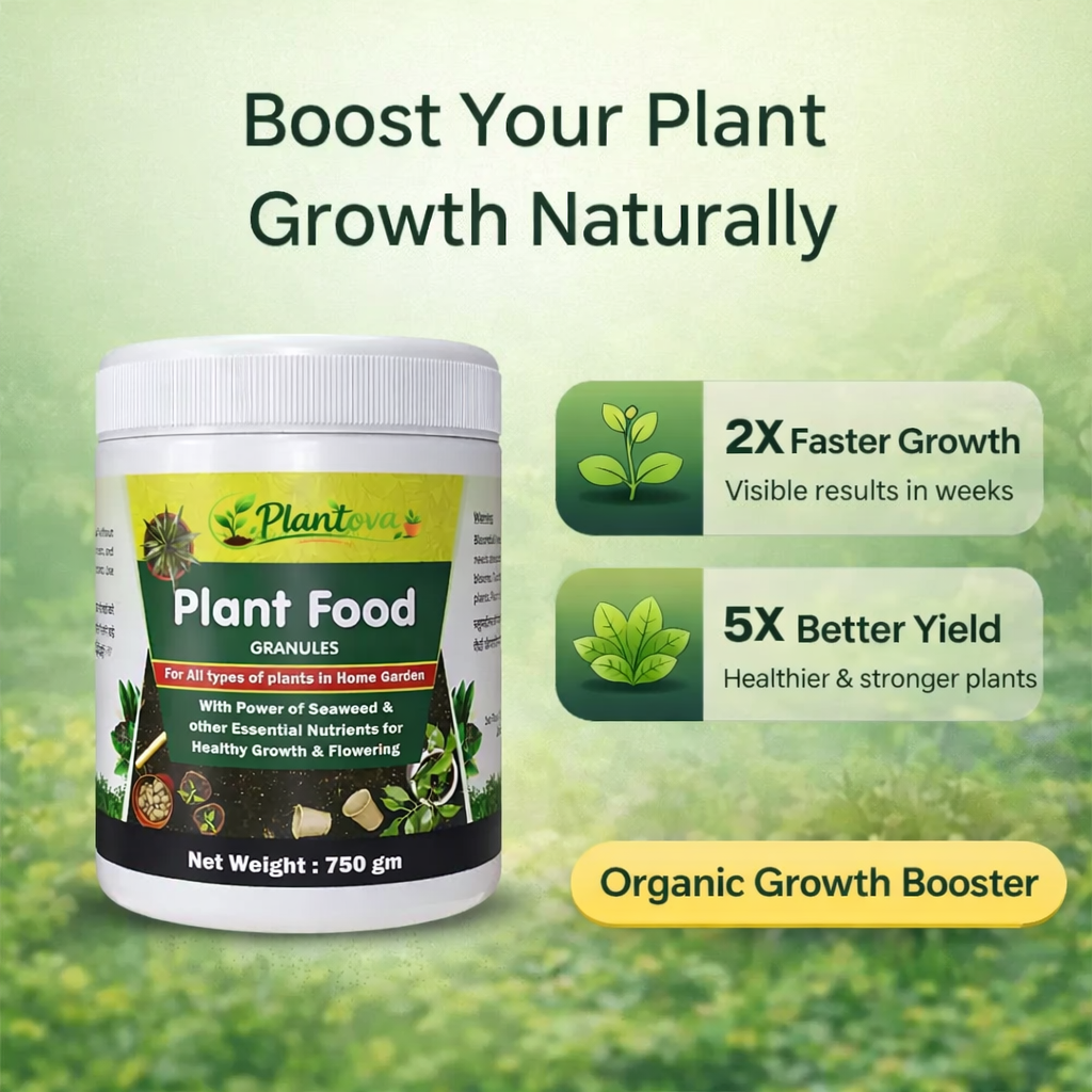 Plant Food Granules - Balanced Nutrient for Plant Growth