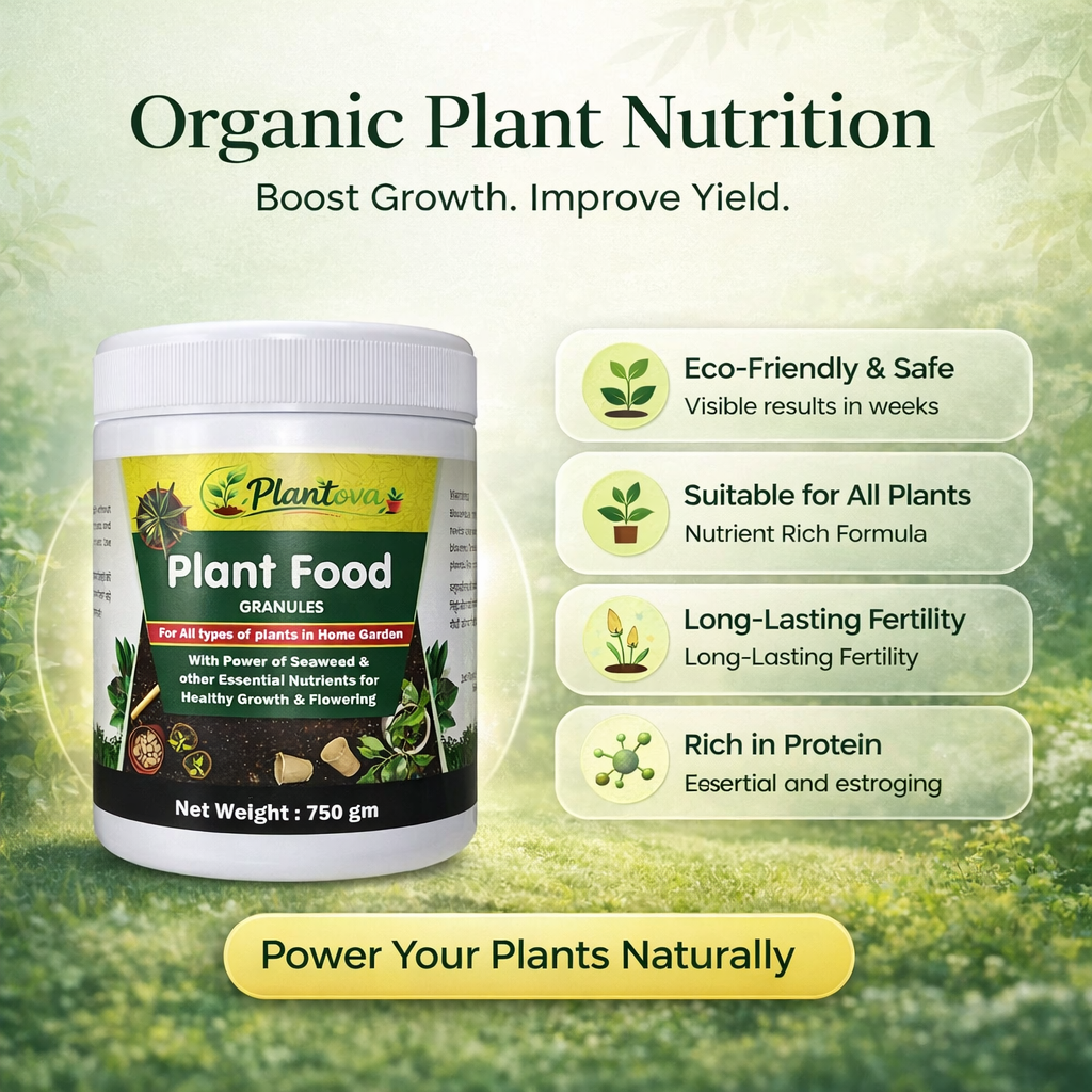 Plant Food Granules - Balanced Nutrient for Plant Growth