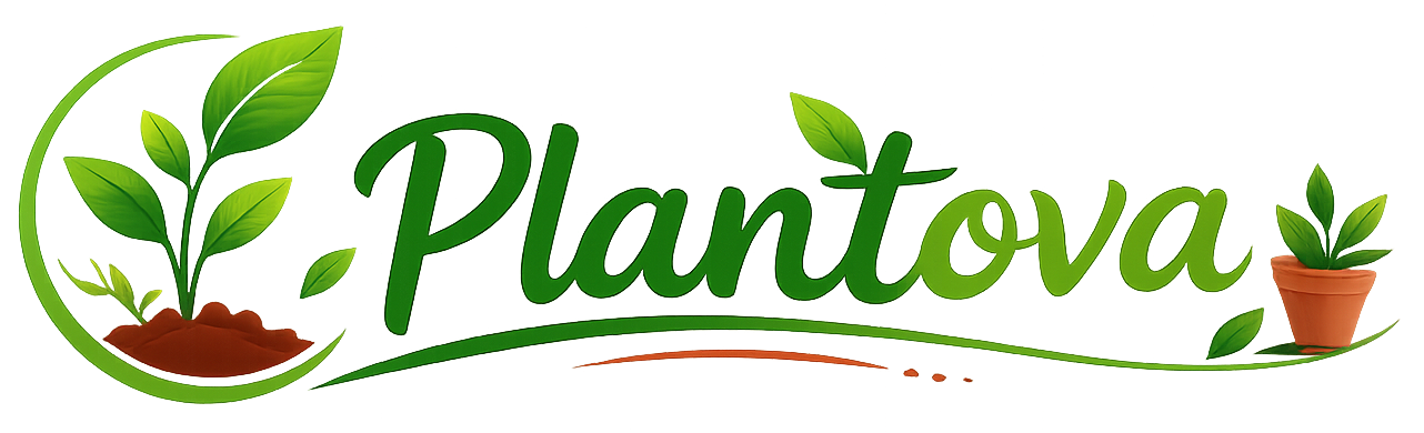 plantova