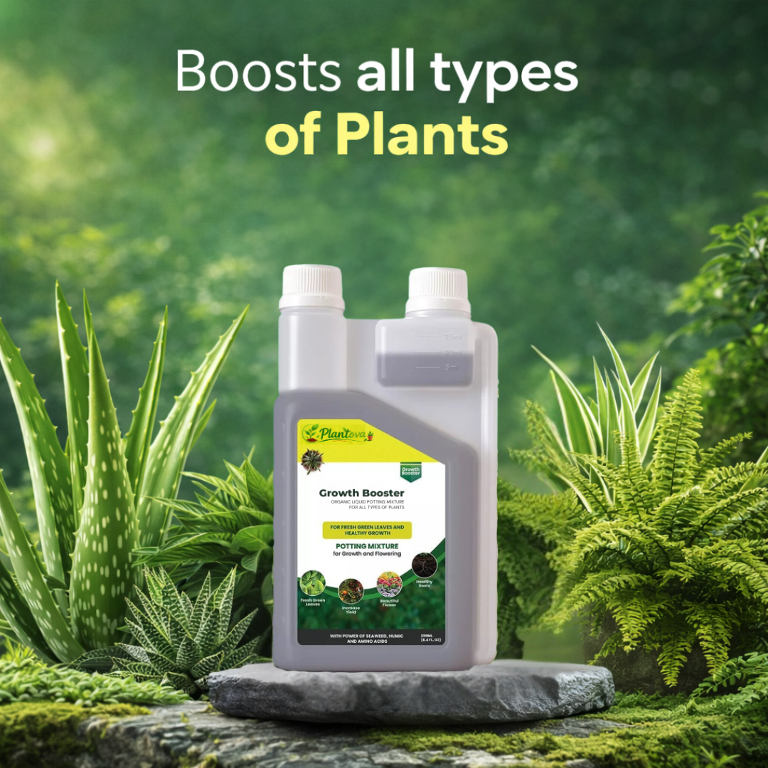 Plantova Growth booster - Organic Plant Growth Booster for Healthy Roots & Yields