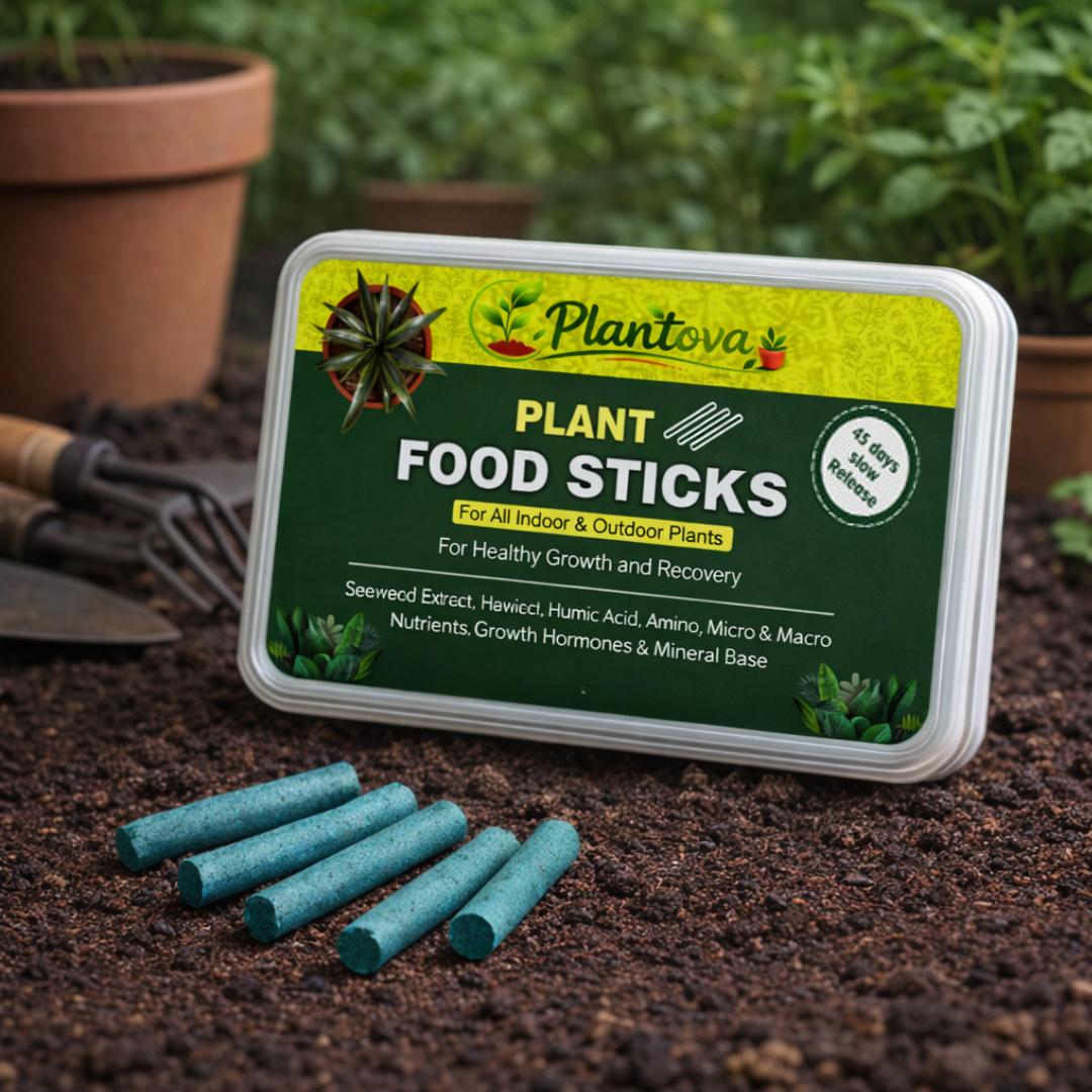 Plantova Plant 40 Food Sticks - Organic Indoor Plant Nutrition