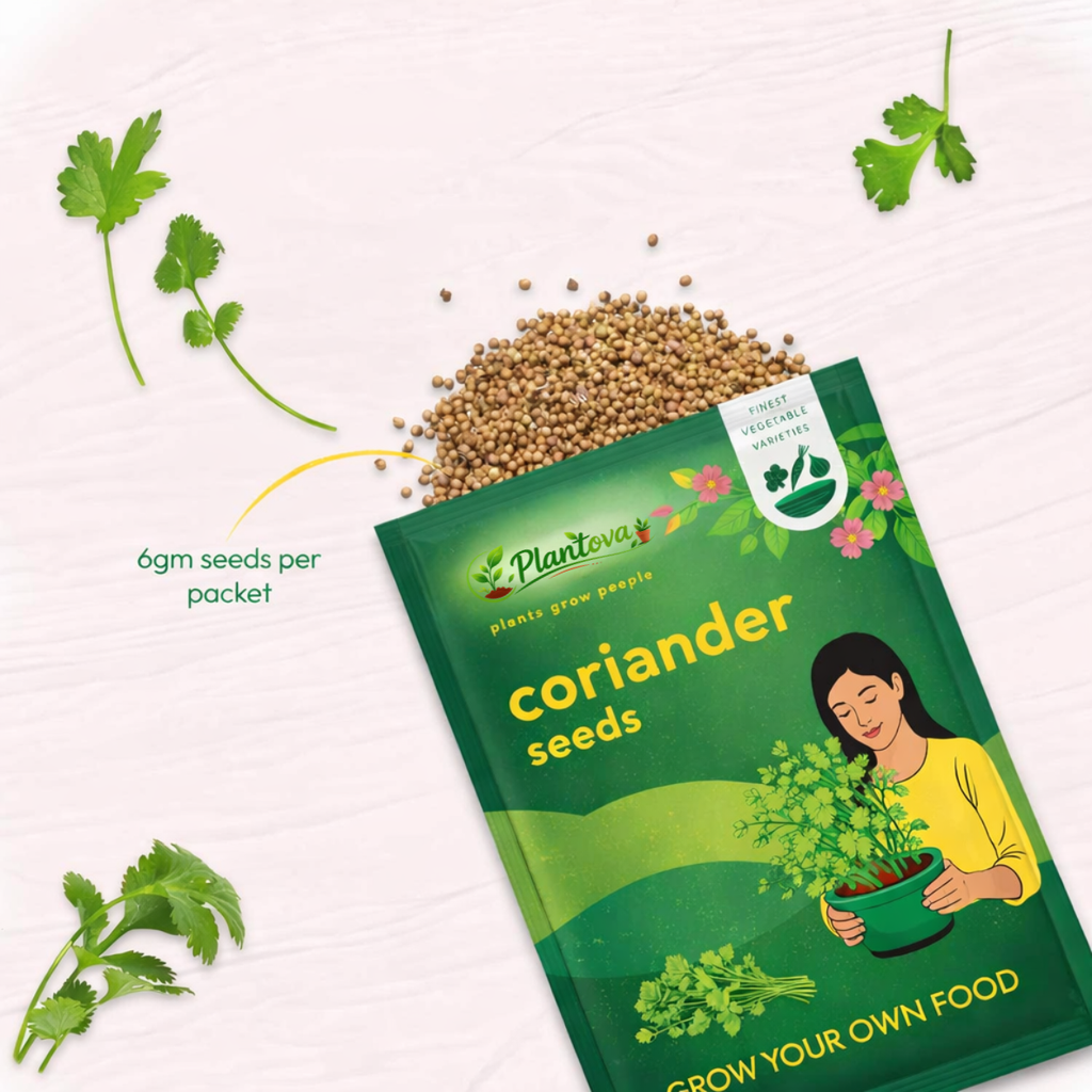Coriander Seeds