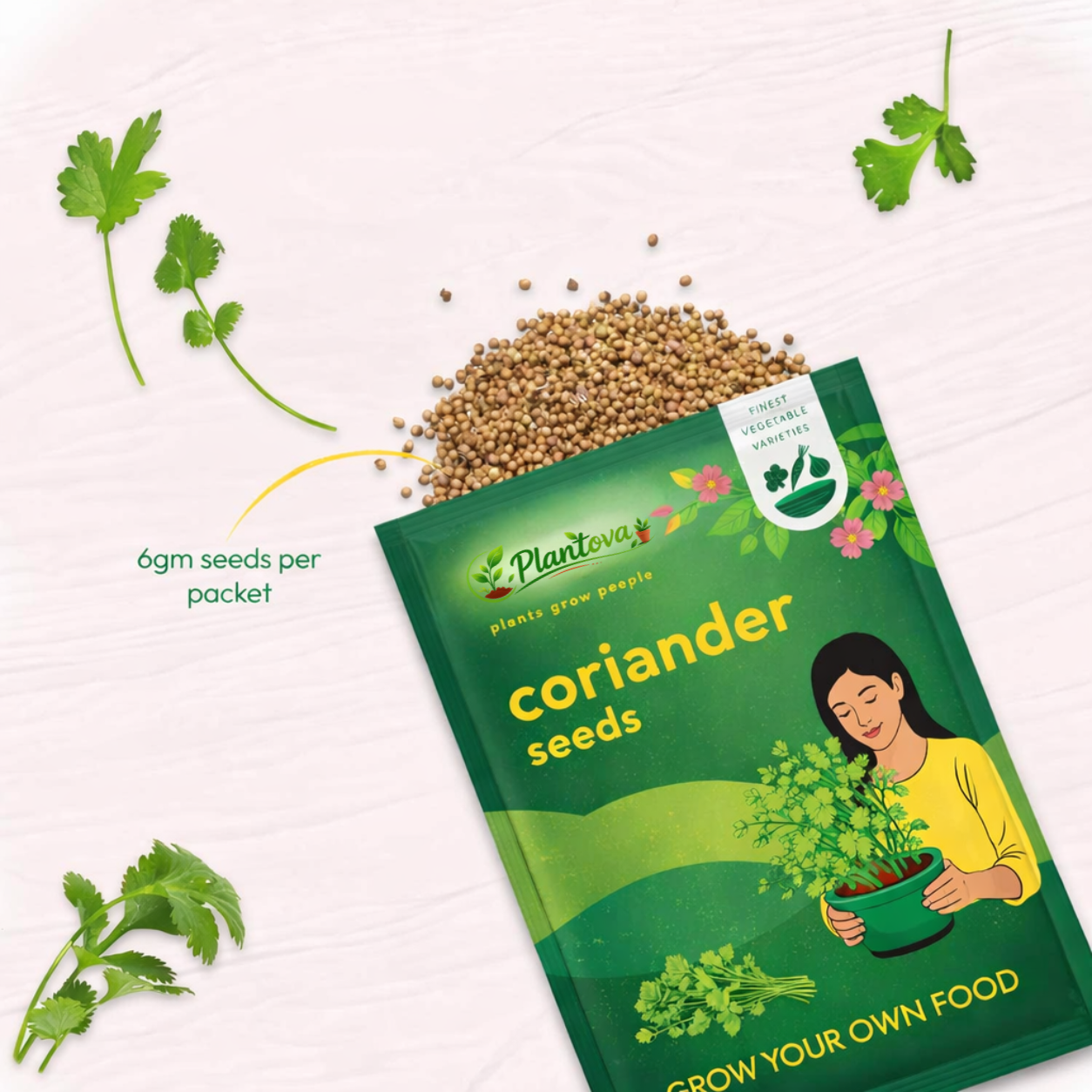Coriander Seeds