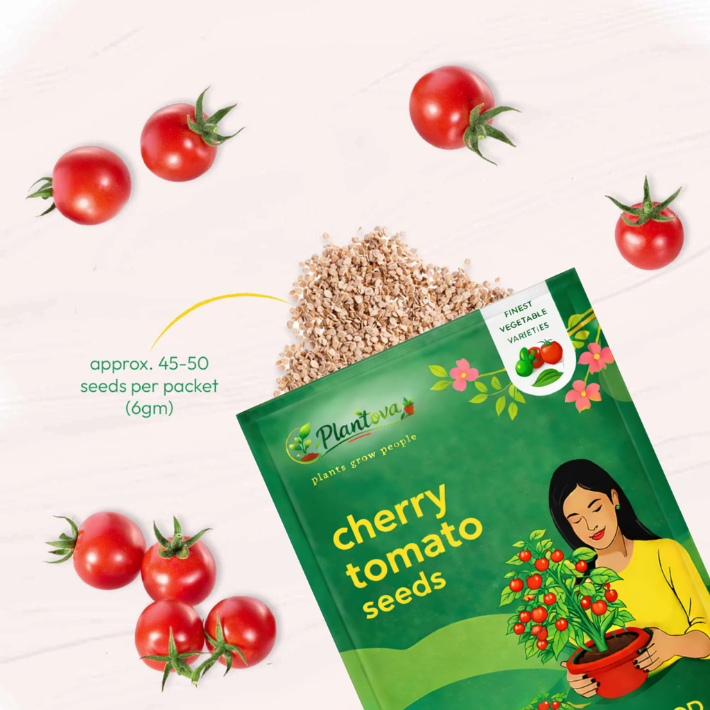 Cherry Tomato Seeds